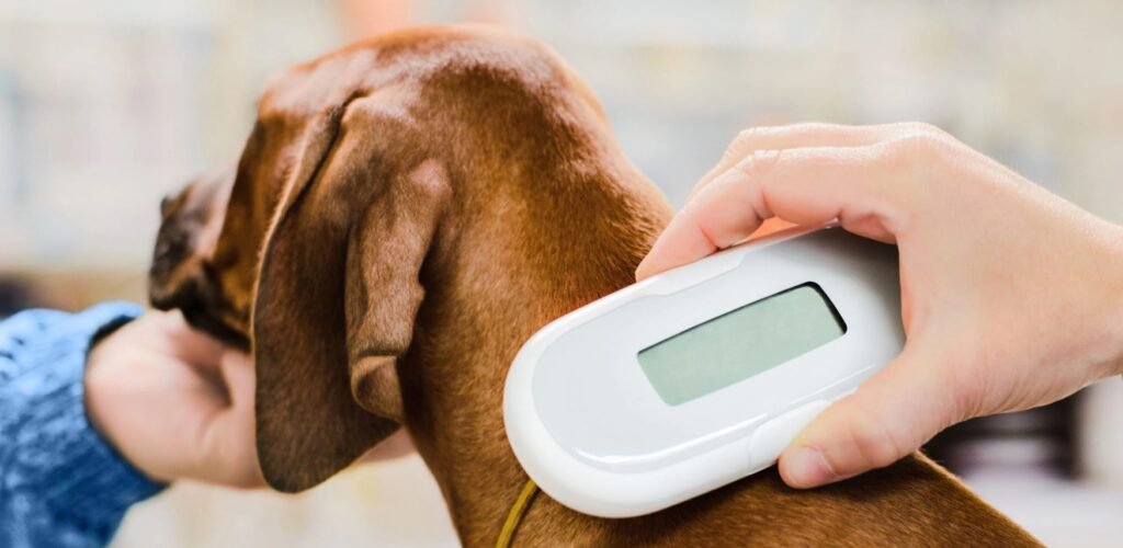 Importance of Microchipping Your Pets