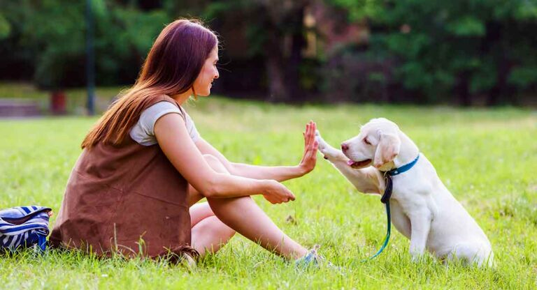 The Power of Pets How Animals Affect Human Health