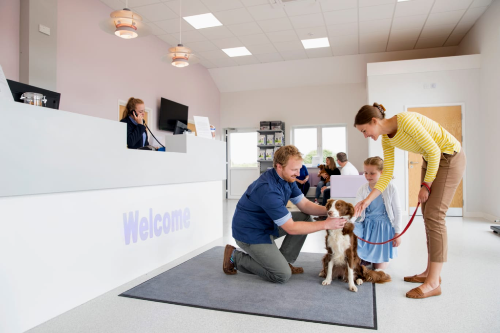 The Role of Pet Insurance Providing Financial Security for Pet Health Care