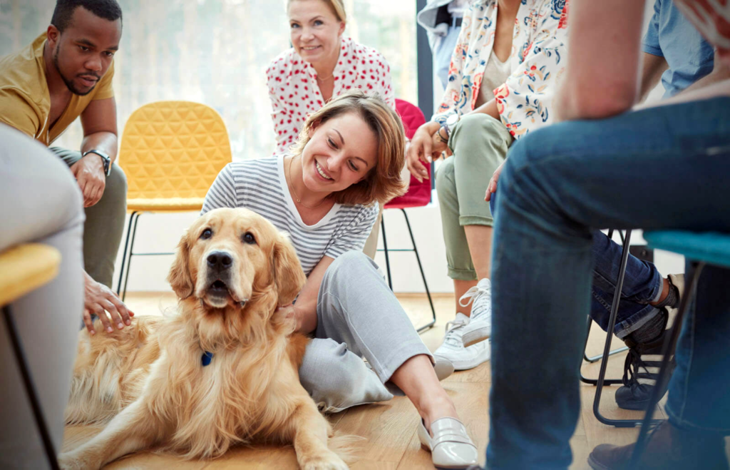 The Role of Socialization in Pet Behavior
