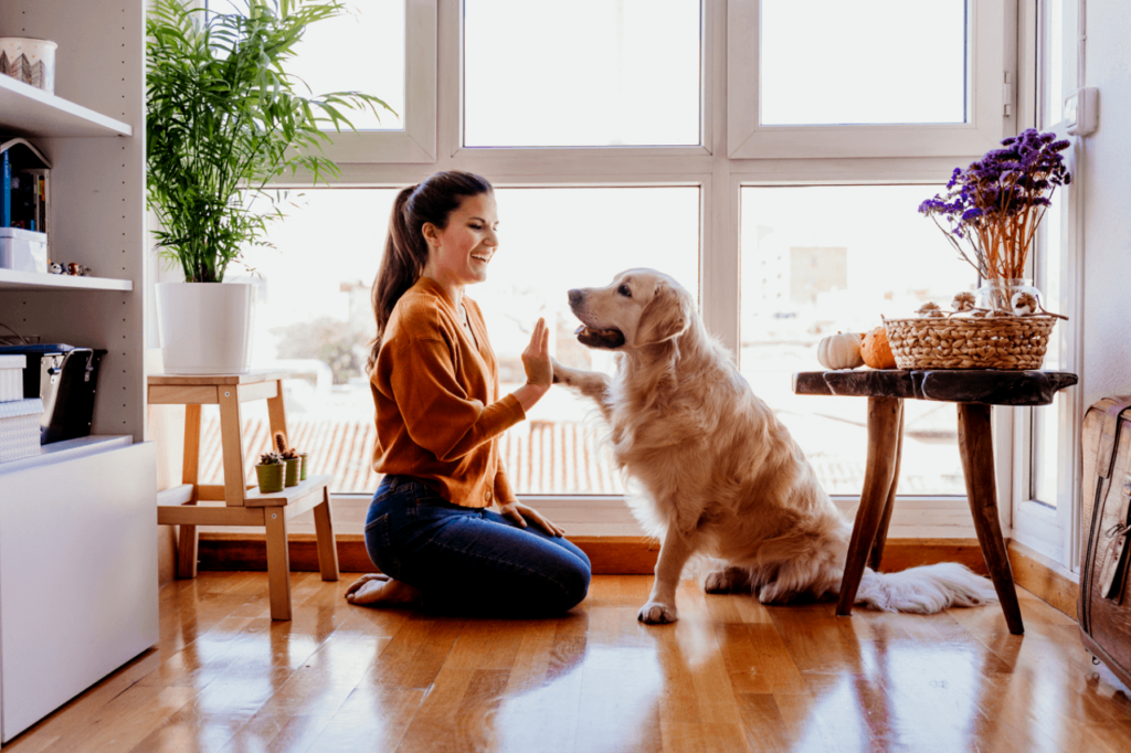 Understanding Pet Behavior: Improving Communication and Bonding