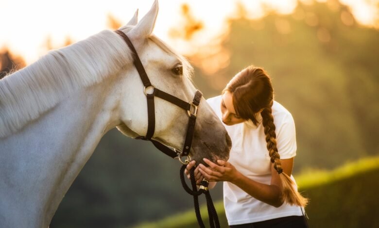 Rabies in horses