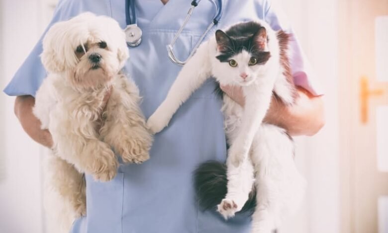 Veterinary Care Services