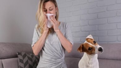 Why the Word Allergy Makes Your Veterinarian Cringe