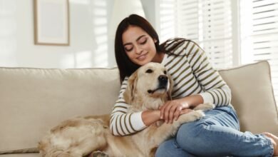 The Role of Pet-Friendly Technology: Enhancing Health and Safety