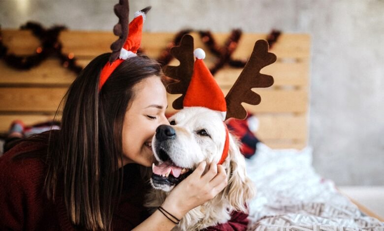 The Most Common Holiday Pet Hazards