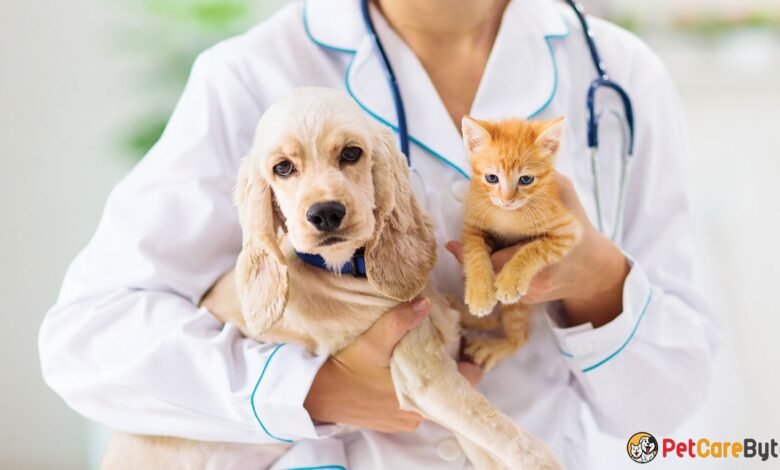 Top 5 Best Pet Clinics in UK in 2023