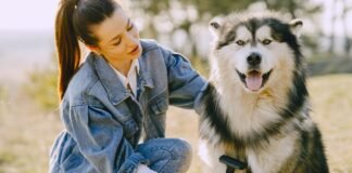 10 Basic Grooming Techniques for Pets