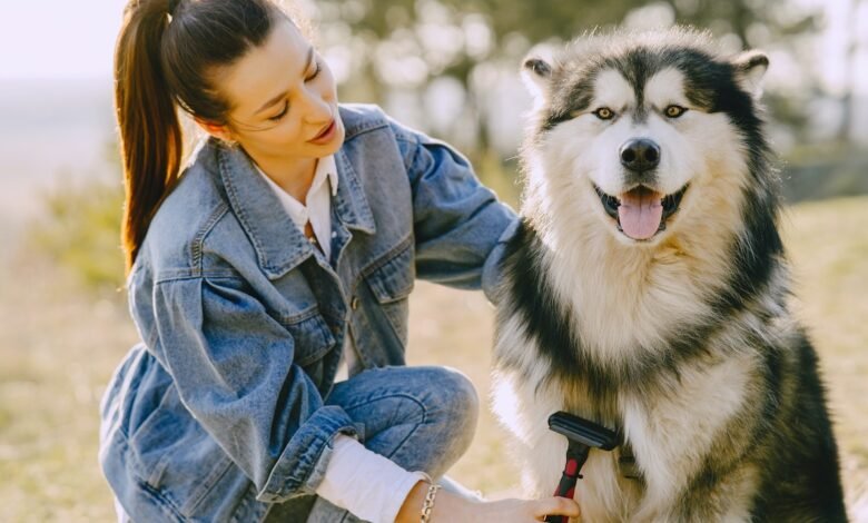 10 Basic Grooming Techniques for Pets