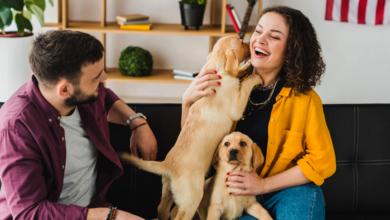 Pet Mental Health Matters Promoting Wellbeing in Your Pets