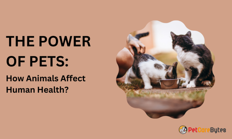 The Power of Pets How Animals Affect Human Health