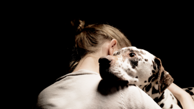 What To Do When Struggling With Pet Loss