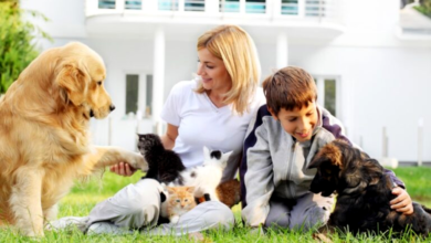 How to Choose the Perfect Pet for Your Family 15 Tips