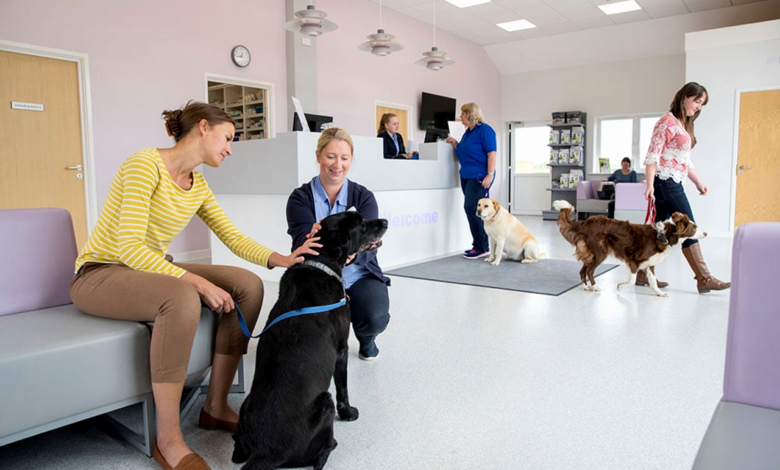 The Role of Pet Insurance Providing Financial Security for Pet Health Care