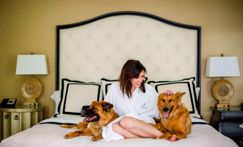 The Role of Pet-Friendly Hotels Finding Accommodations for Your Pet on the Road