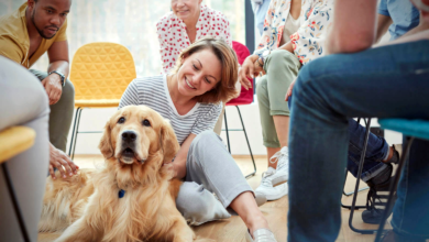 The Role of Socialization in Pet Behavior