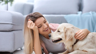 Understanding Pet Anxiety