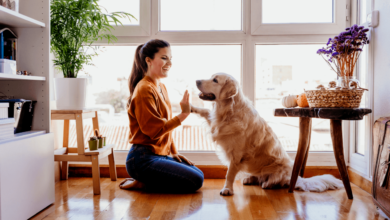 Understanding Pet Behavior: Improving Communication and Bonding