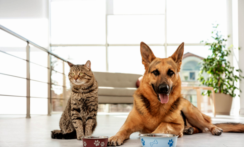 Understanding Pet Nutrition Labels