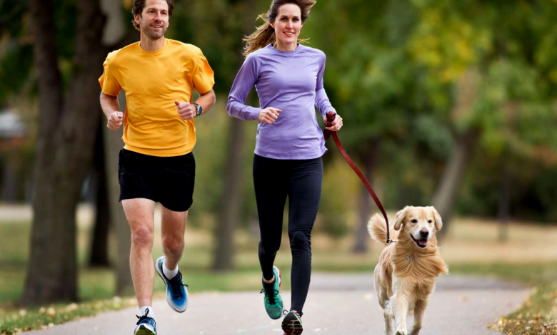 Benefits of Exercise for Senior Pets