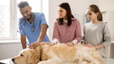 Importance of Regular Pet Checkups