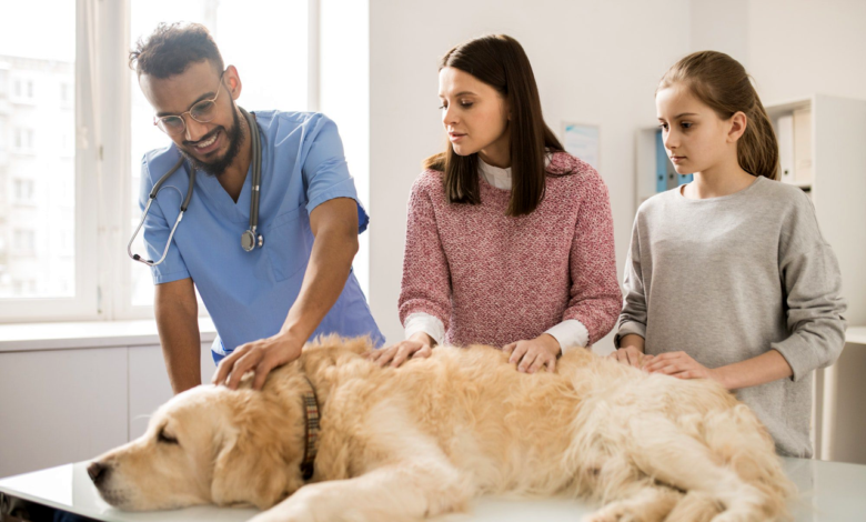 Importance of Regular Pet Checkups