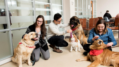 Pet-Assisted Therapy