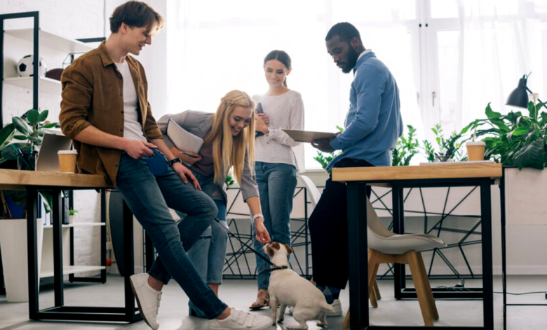 Pet-Friendly Workplaces