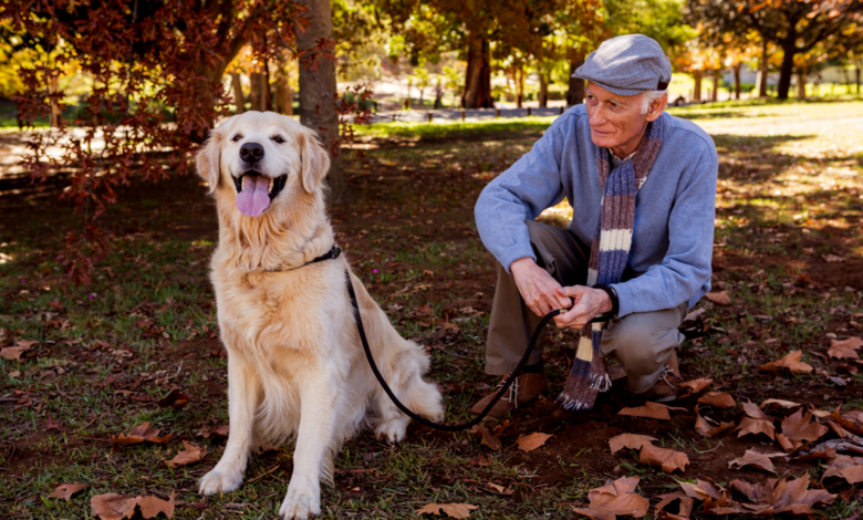 Pet Therapy in Elder Care