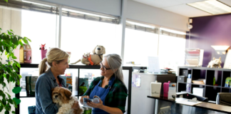A Pricing Strategies for Profitable Pet Care Services