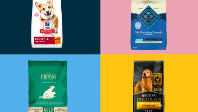 Top 10 UK Pet Food Brands in 2024