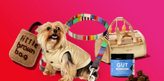 20 Clever Gifts for Dog Owners
