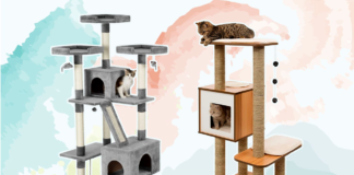 Life-Changing Products for Cats