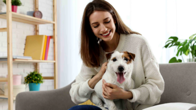 Breaking Down Different Pet Insurance Plans