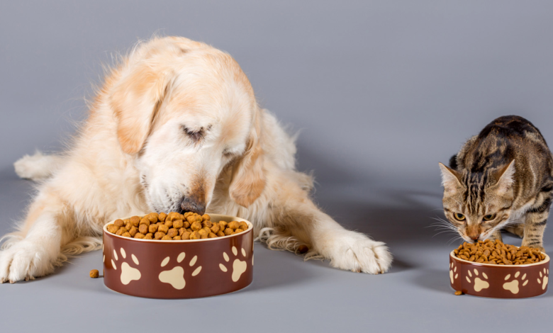 Choosing the Right Pet Food A Guide for Pet Parents