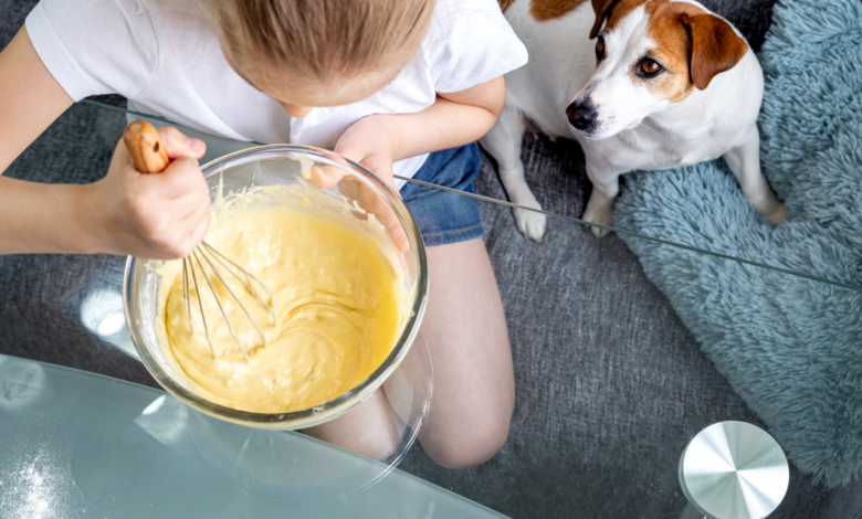 Pet-Friendly Recipes