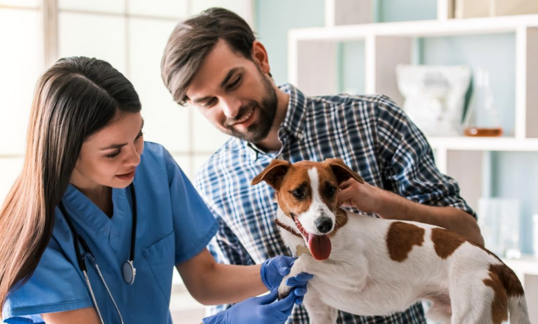 Regular Vet Check-ups