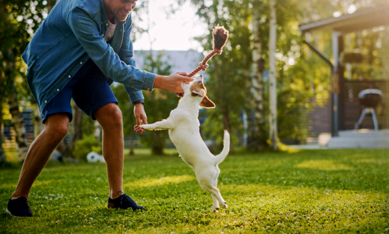 The Role of Exercise in Pets Well Being