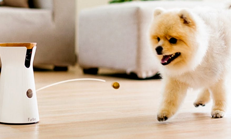 Gadgets for Pet Parents