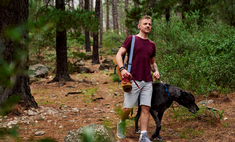 Pet-Friendly Hiking Trails