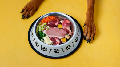 Raw Feeding for Pets