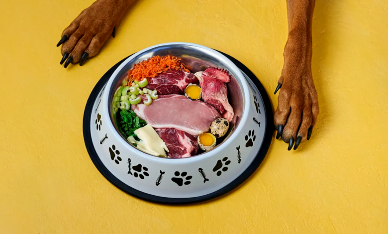 Raw Feeding for Pets