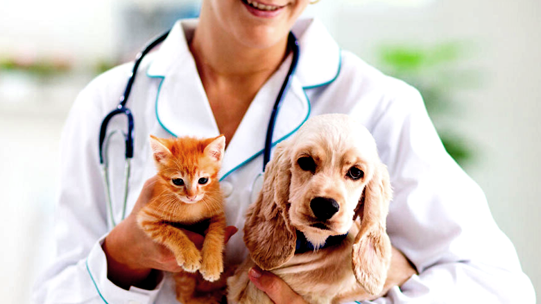 Pet Health Problems