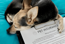 Pet Insurance