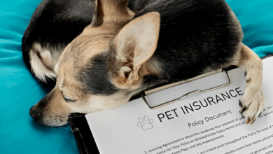 Pet Insurance