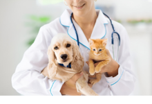 Vet Care