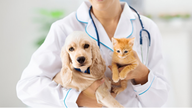 Vet Care