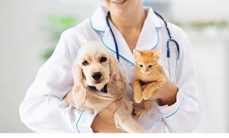 Vet Care